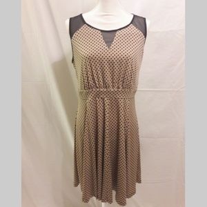 Enfocus Polka Dot Fit & Flare Dress